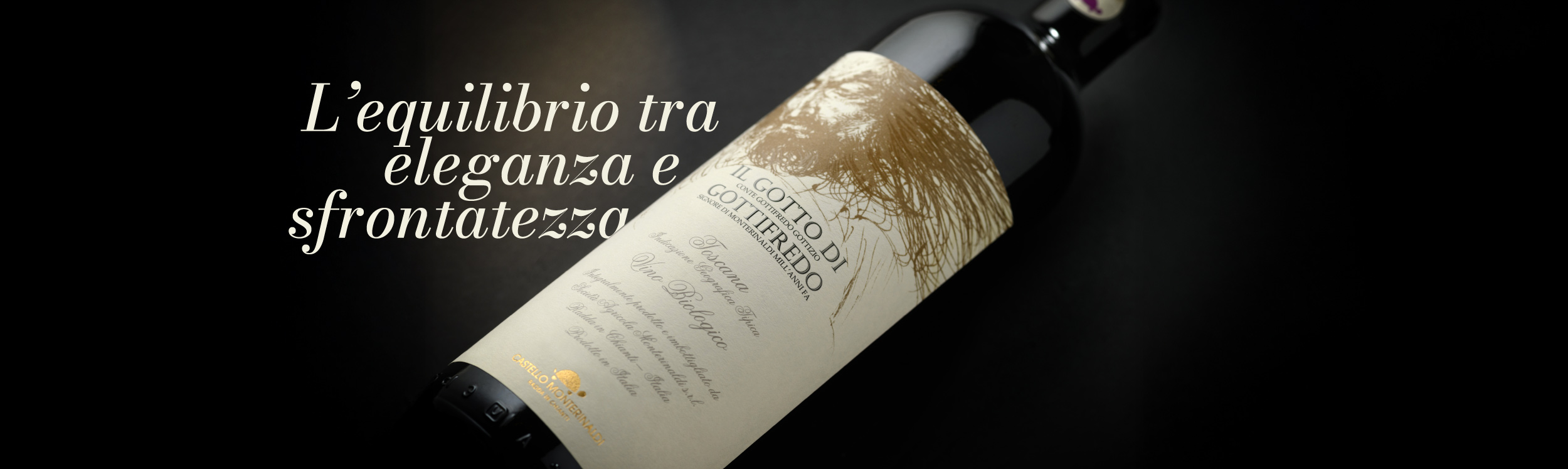 Copertina Il Gotto di Gottifredo