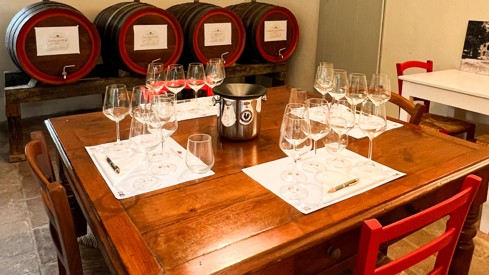 Esperienza enologo per un giorno