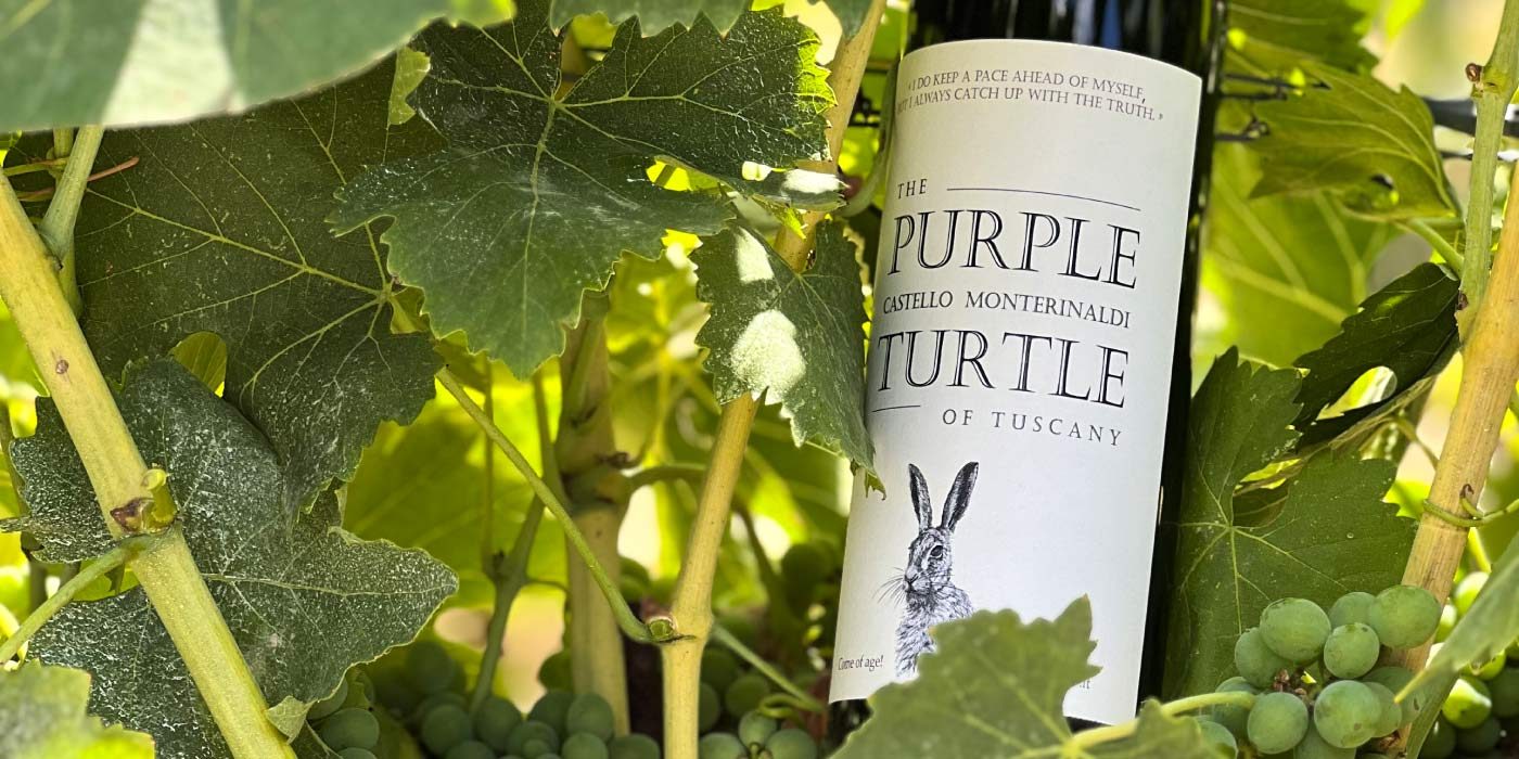 purple-turtle